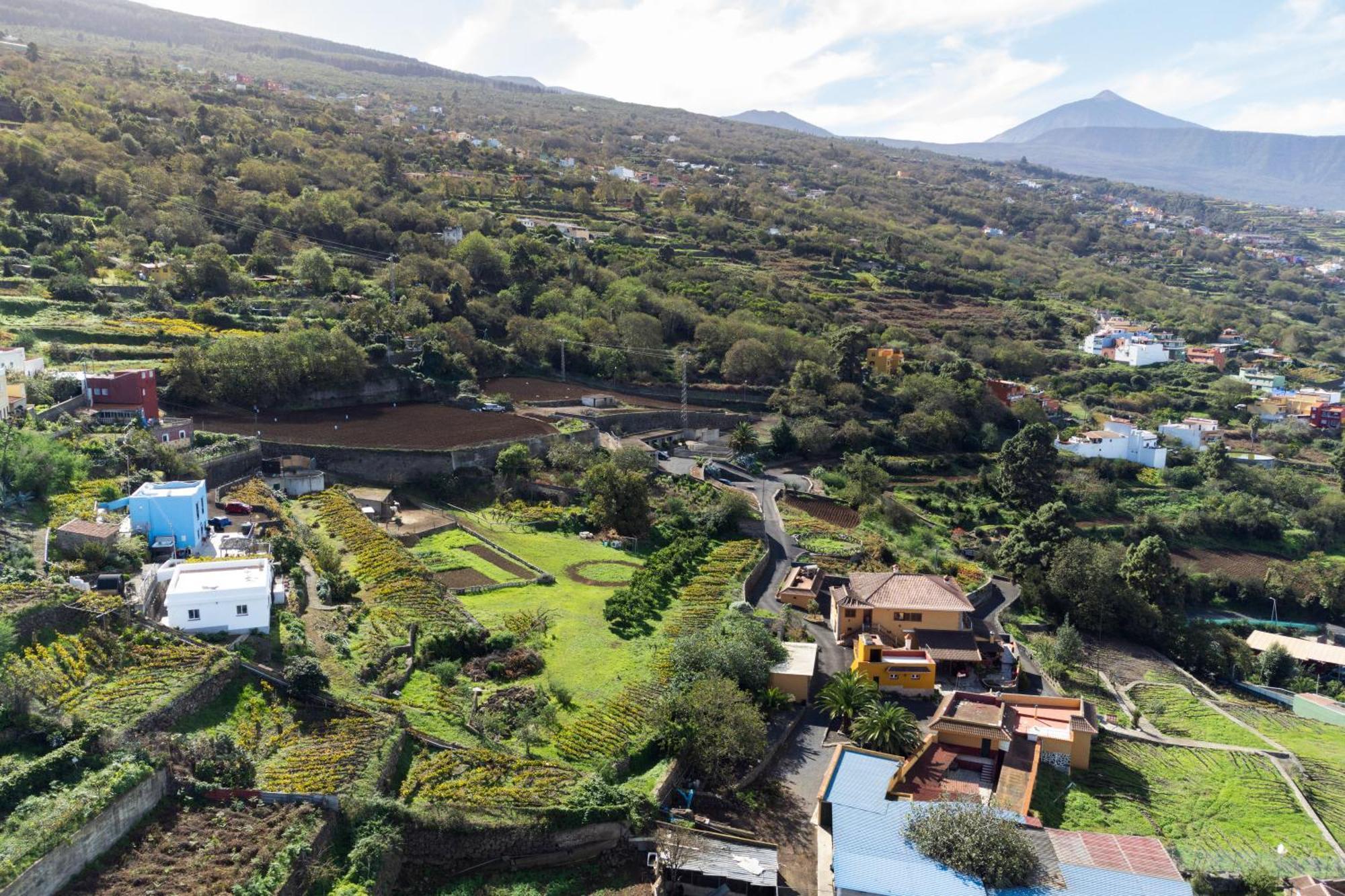 Ek Teide Finca El Milagro La Orotava Exterior foto