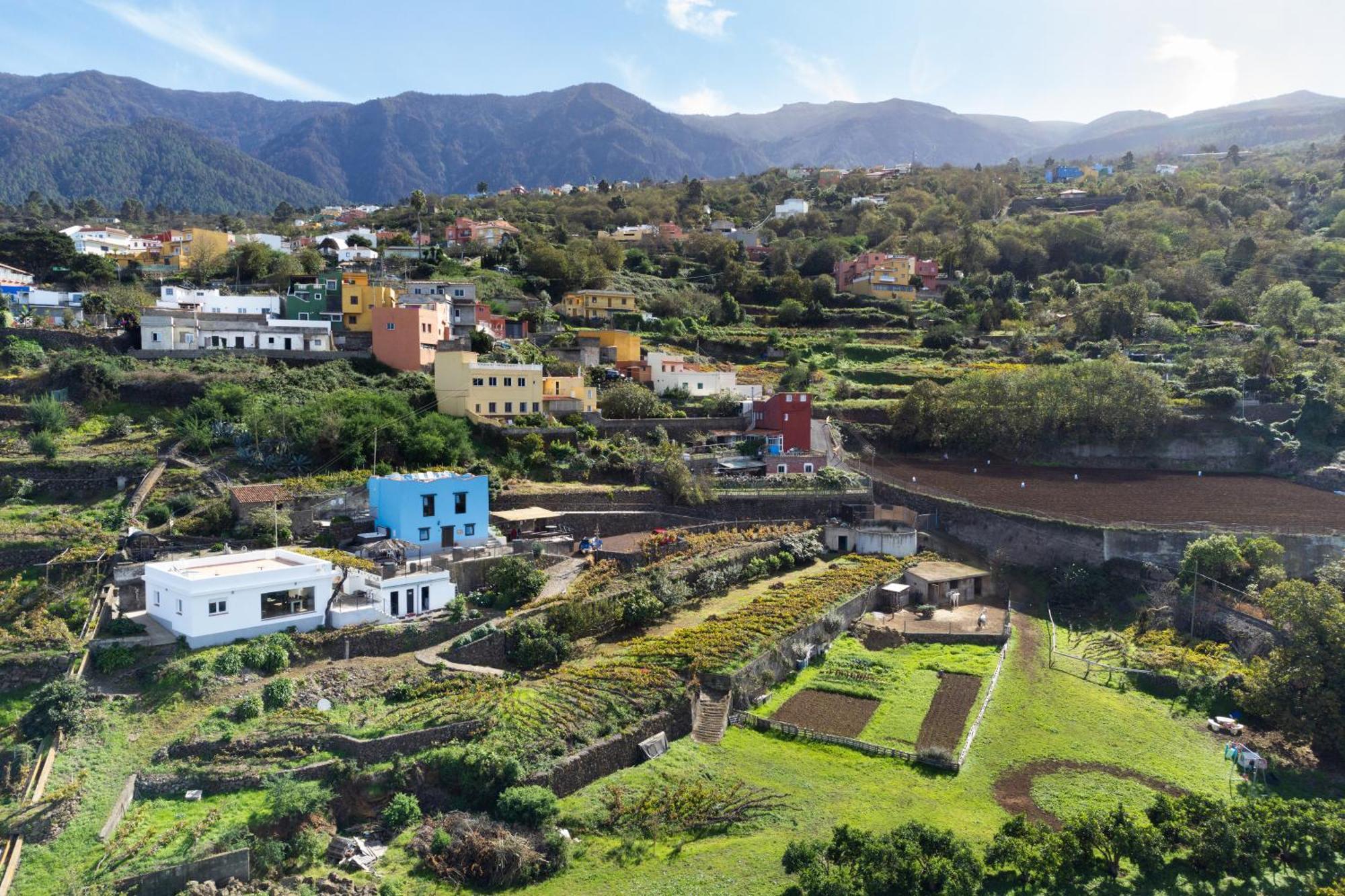 Ek Teide Finca El Milagro La Orotava Exterior foto