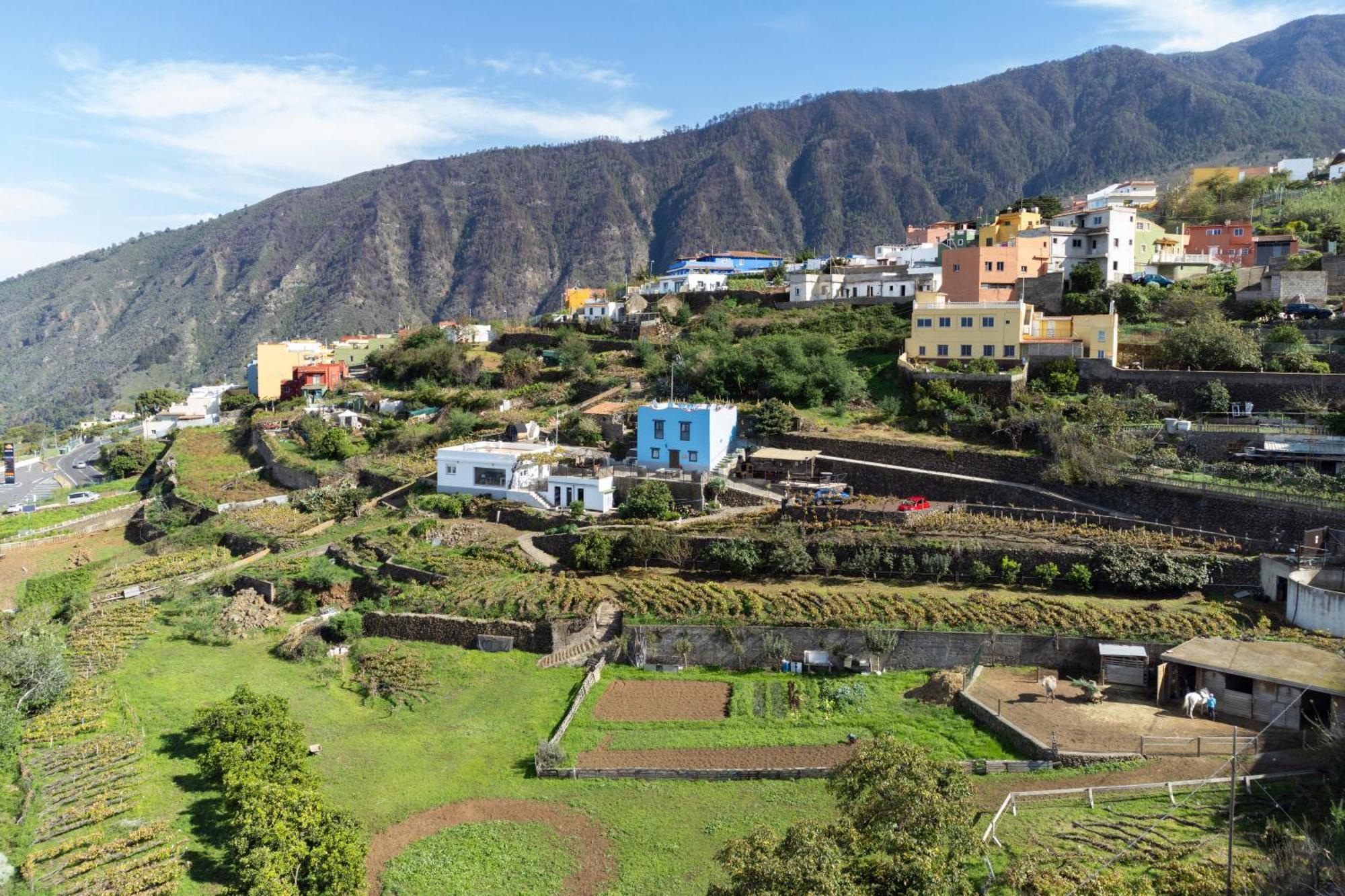 Ek Teide Finca El Milagro La Orotava Exterior foto