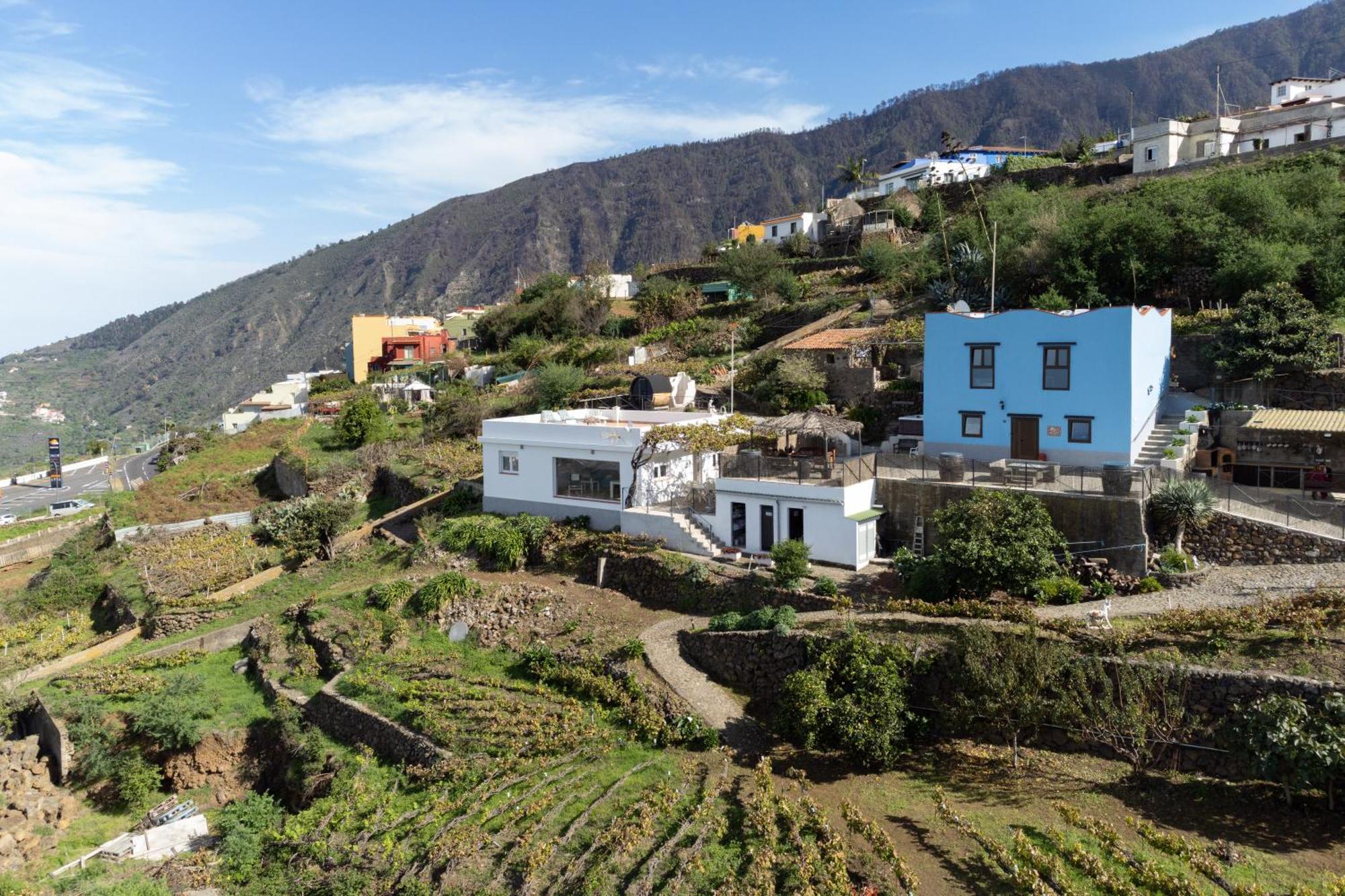 Ek Teide Finca El Milagro La Orotava Exterior foto