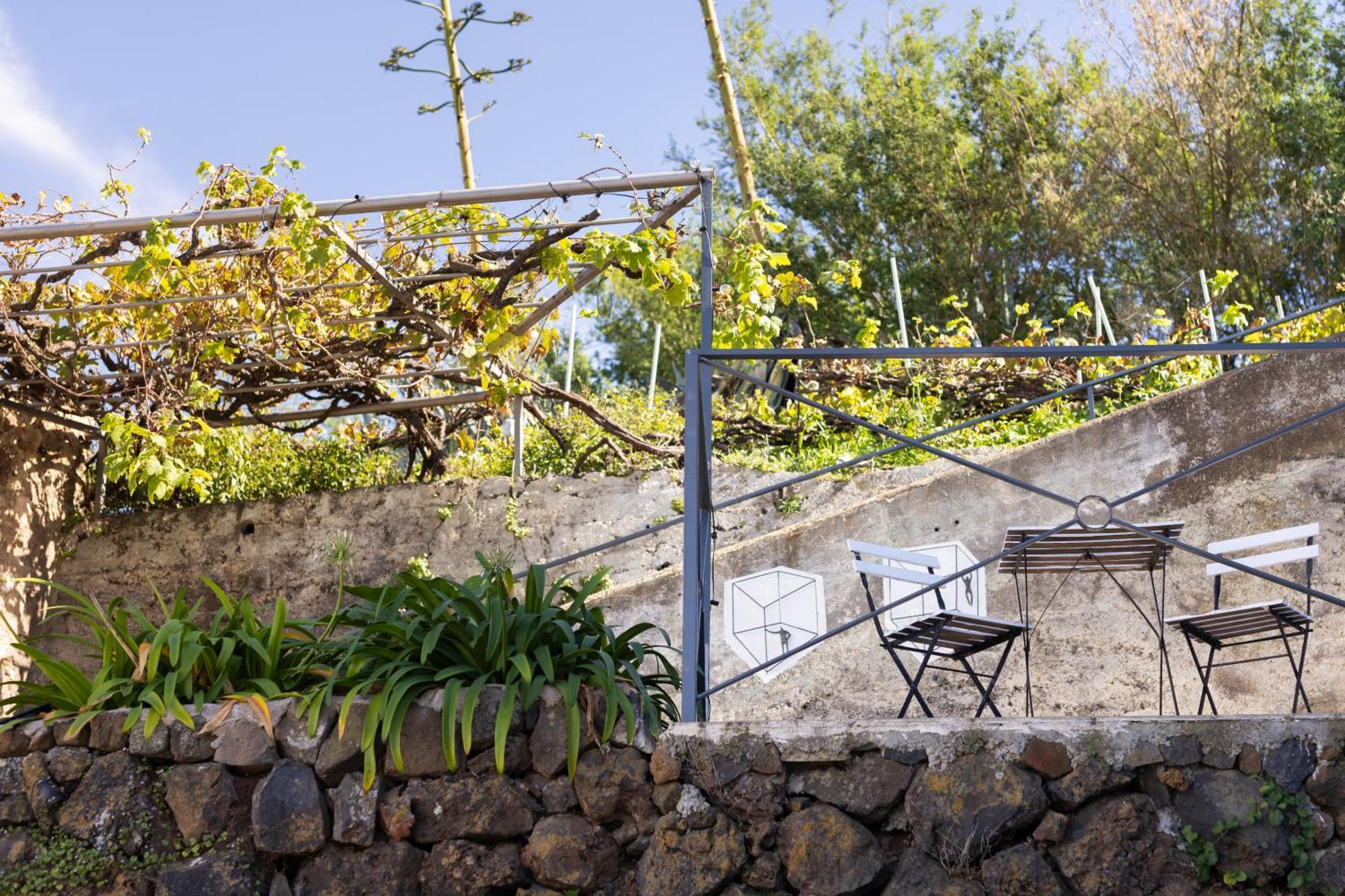 Ek Teide Finca El Milagro La Orotava Exterior foto
