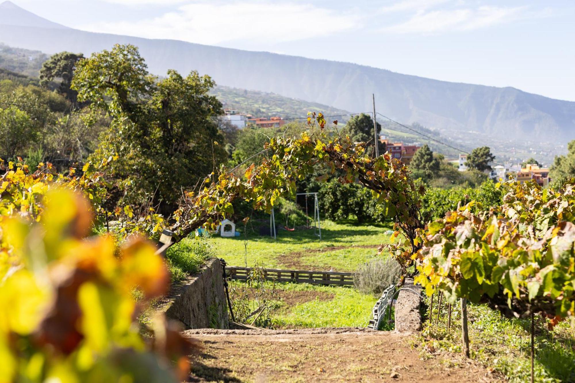 Ek Teide Finca El Milagro La Orotava Exterior foto