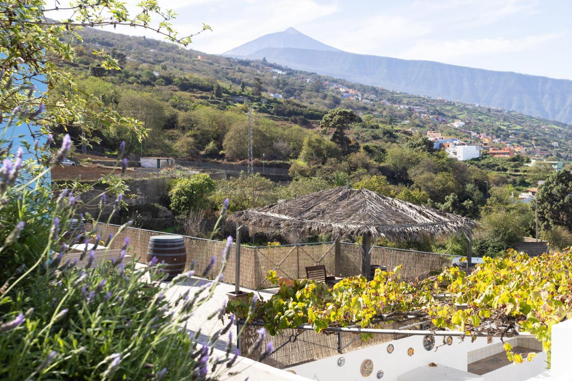 Ek Teide Finca El Milagro La Orotava Exterior foto