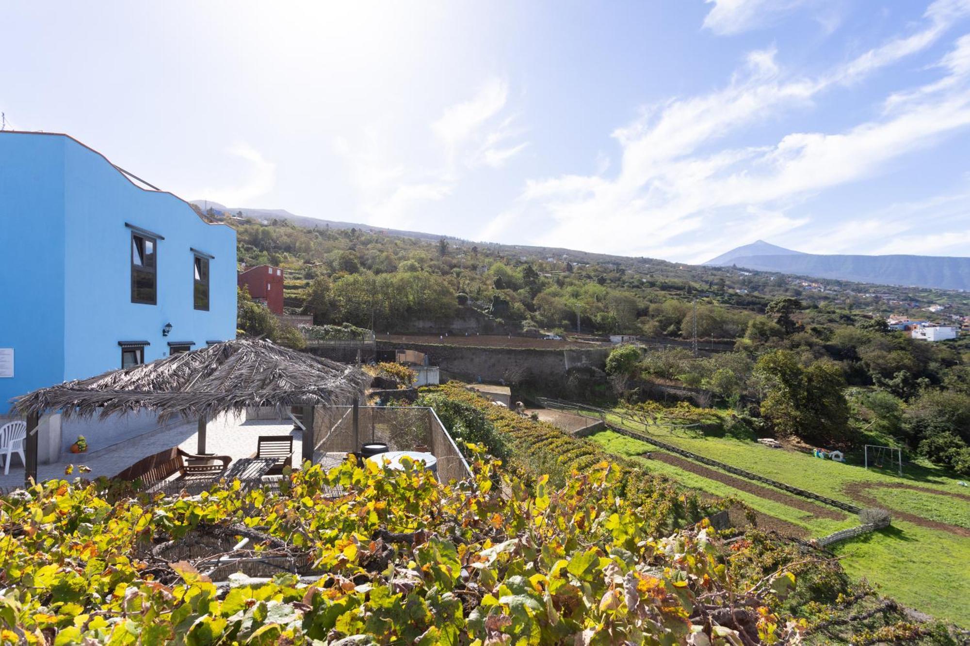 Ek Teide Finca El Milagro La Orotava Exterior foto
