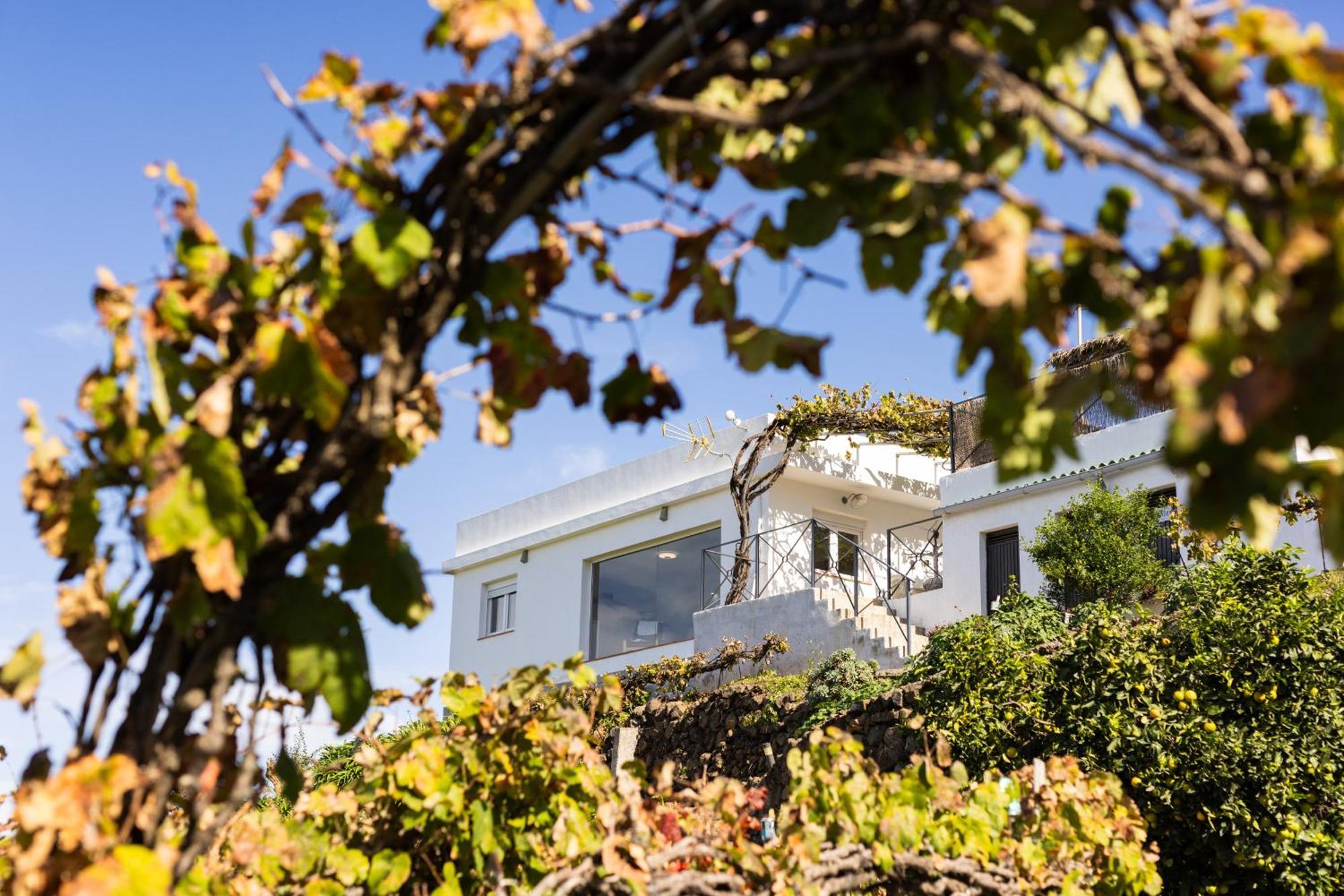 Ek Teide Finca El Milagro La Orotava Exterior foto